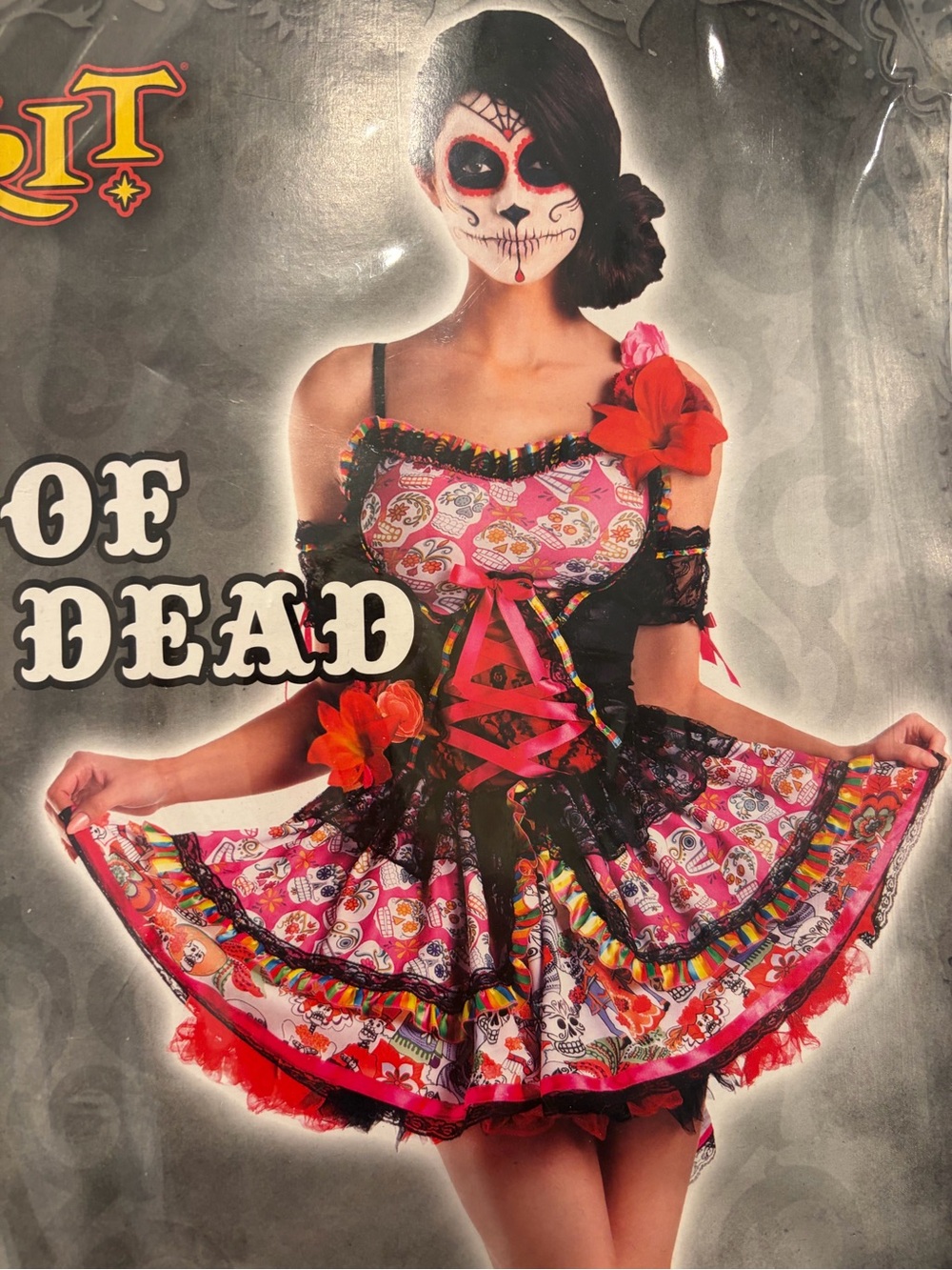 Day of the dead costume